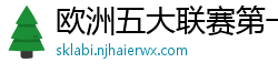 欧洲五大联赛第一个六冠王